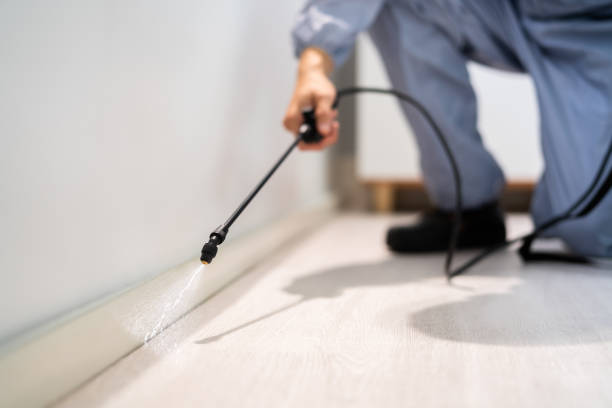 Licensed Termite Control service in Rockville, IN - Show Me Pest Control